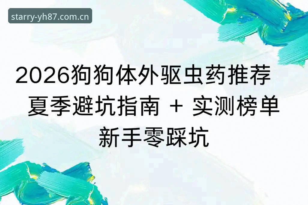 资深数据控实测：2026专属视角足球数据的使用心得与避坑指南